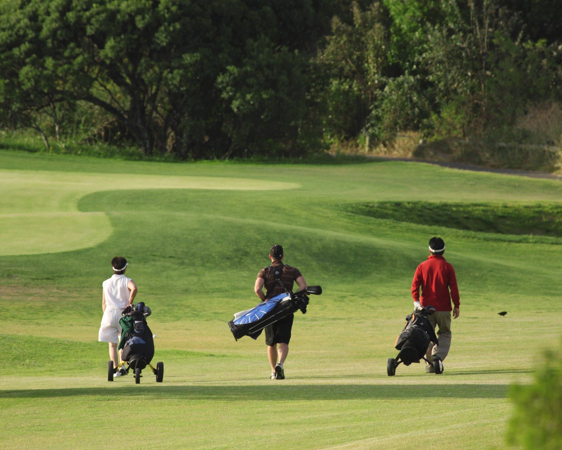 Diventa Golfista